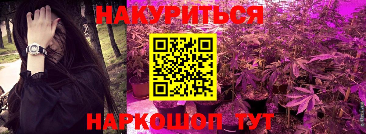 МАРИХУАНА сатива Артёмовский